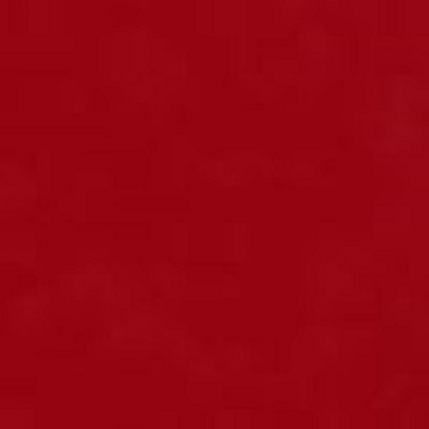 Red Bamboo Jersey Fabric
