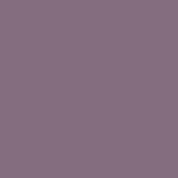 Lilac Color Fabric