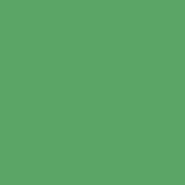 Lime Green Satin Fabric
