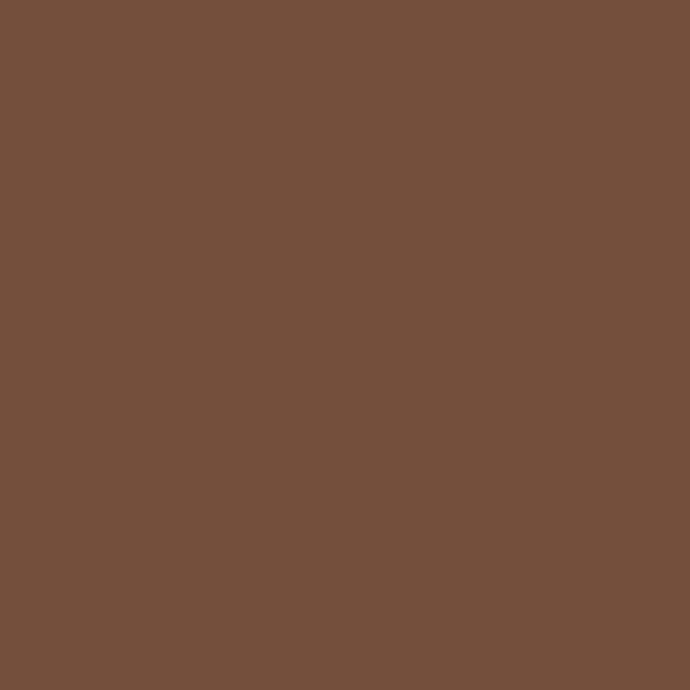 Sugar-Hacci-Mocha-6673
