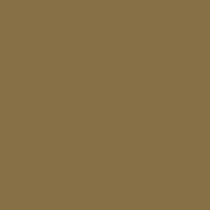 CAMEL-2-210×210