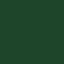 Charmeuse-Fabric-H-GREEN-38-210×210