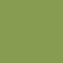 Charmeuse-Fabric-SAGE-354-210×210