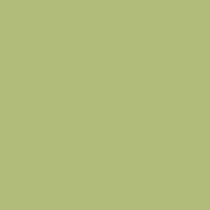 Charmeuse-Fabric-SAGE-L-152-210×210
