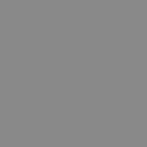 Charmeuse-Satin-SILVER-L-9013-210×210