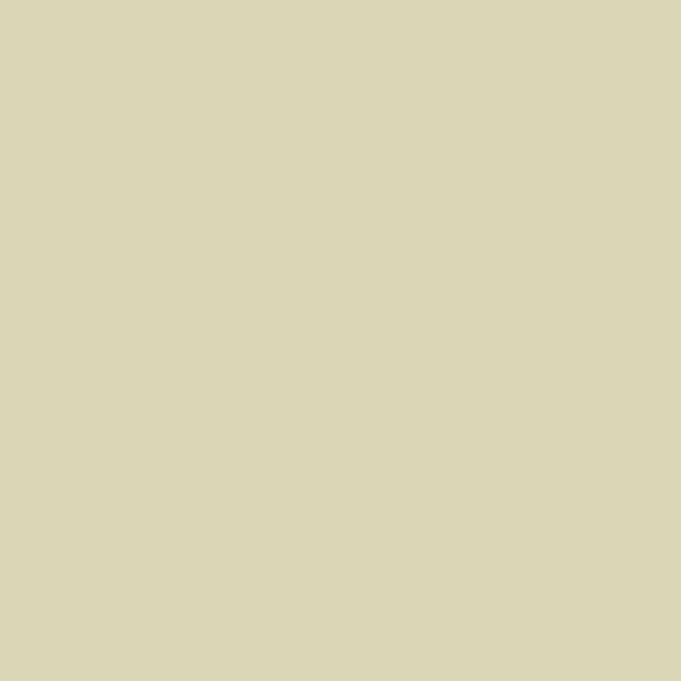 IVORY-1113-1