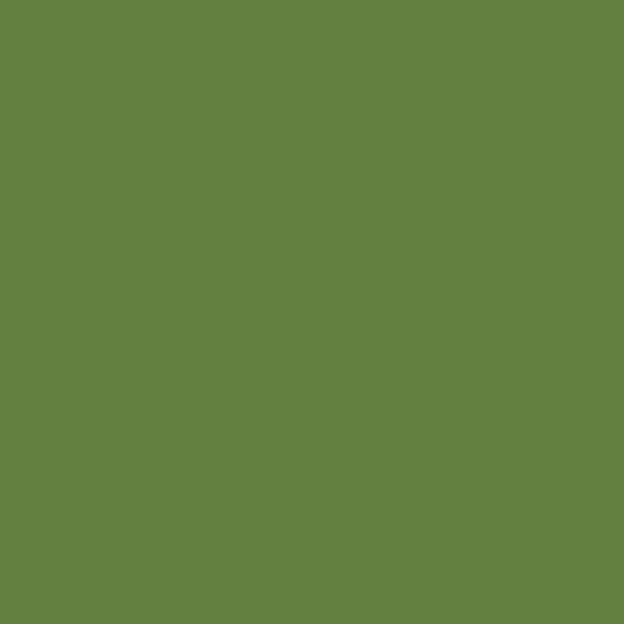 SAGE-GREEN-5567-1