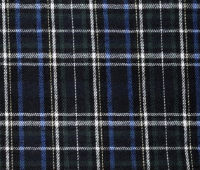 flannel29
