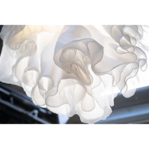 Sheer Fabric Wholesale